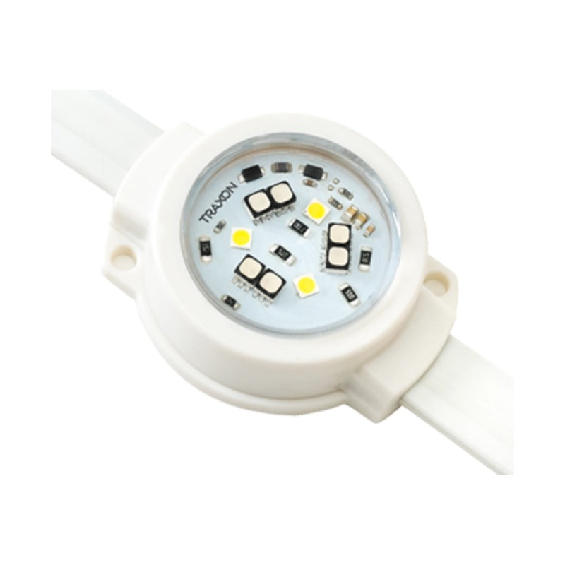 Media Dot Plus